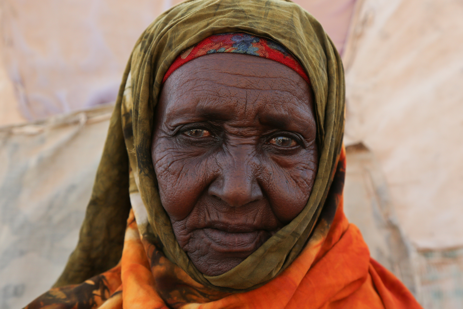 70-years-old Hodan Ciise Hashi, poses for a portrait in front of her house in Jigjiga Yar neighborhood in Hargeisa city. This was during the National Immunization Camping in Hargeisa, Somaliland on 28 March 2019. WHO Photo